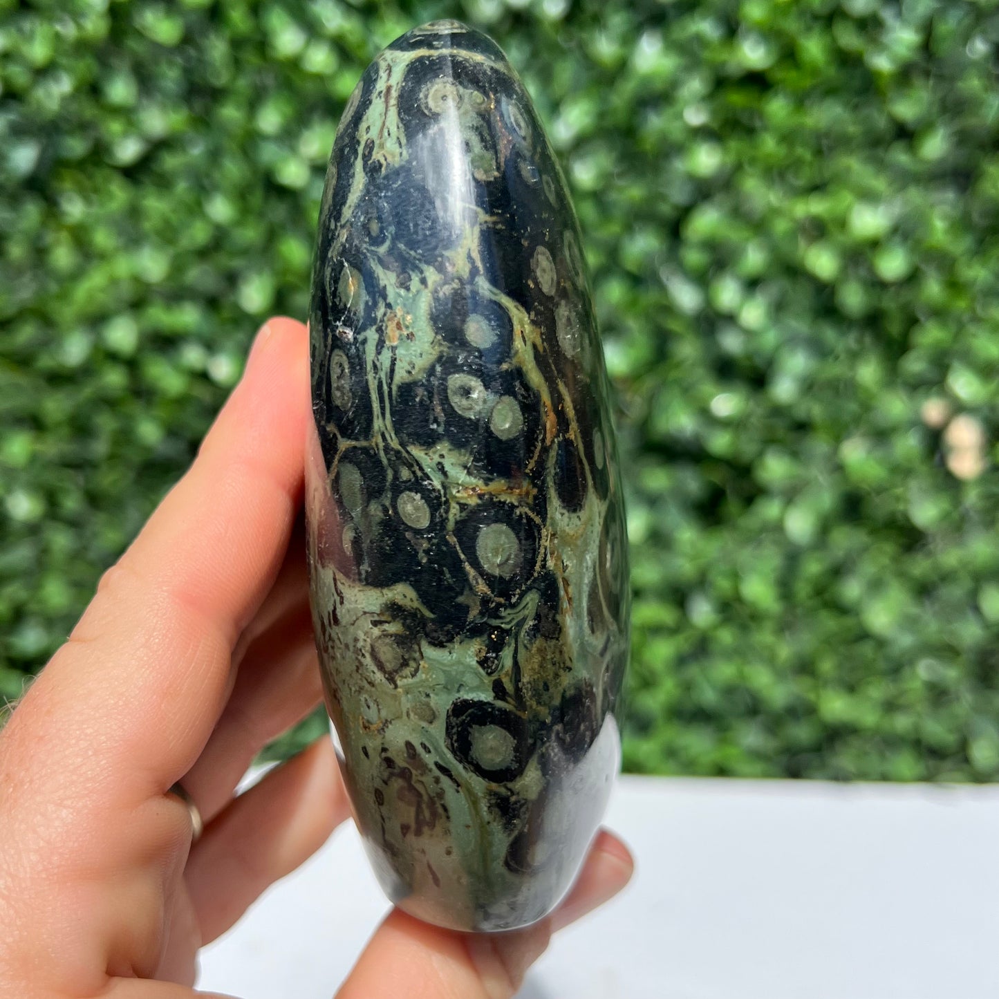 Kambaba Jasper Free Form