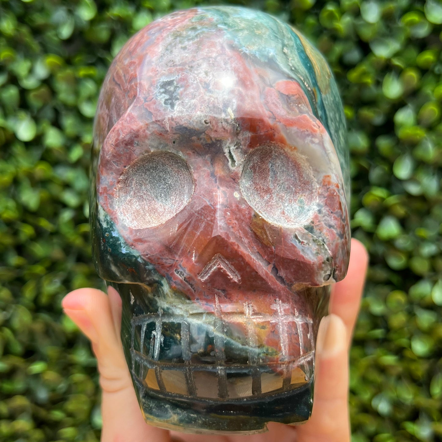 Ocean Jasper Skull