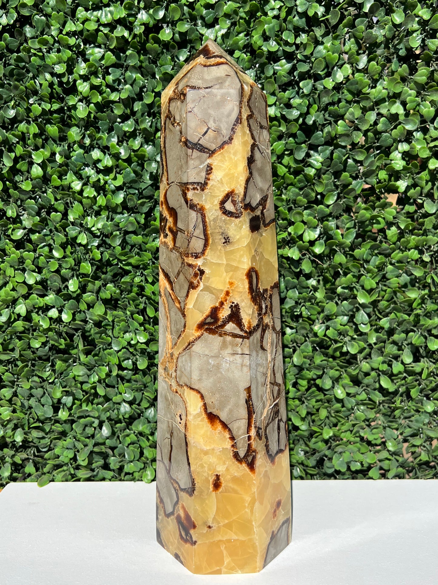 Septarian Generator XXL