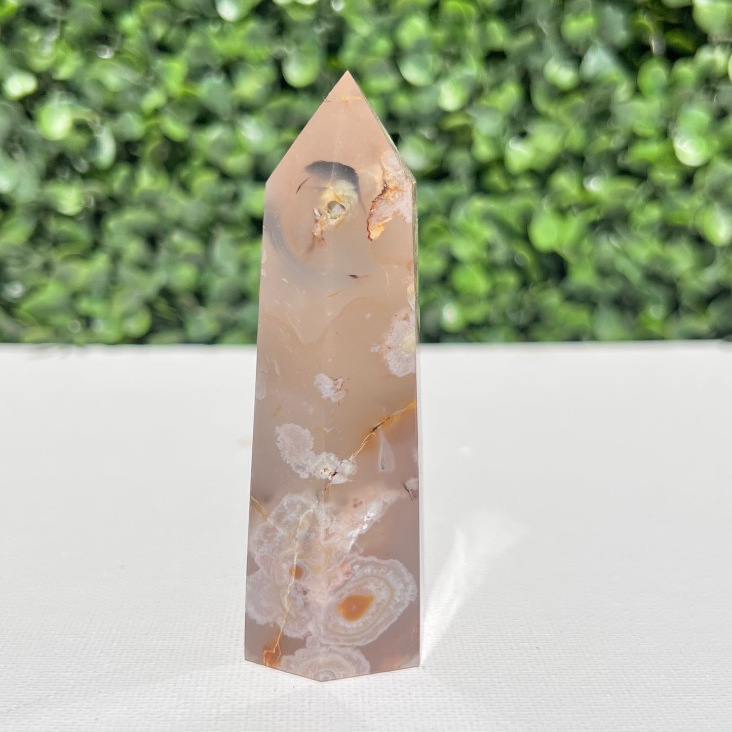 Flower Agate Point