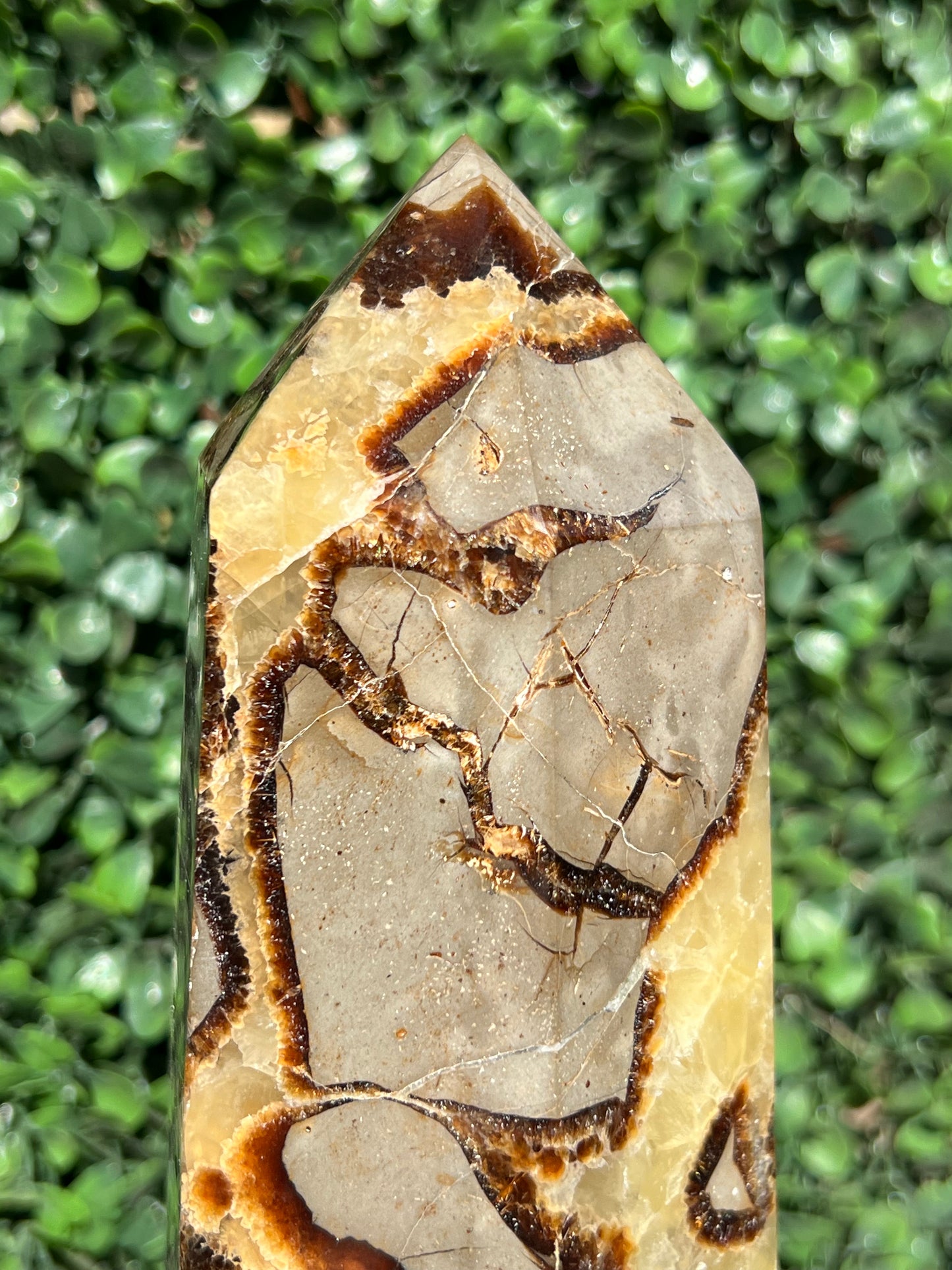 Septarian Generator XXL