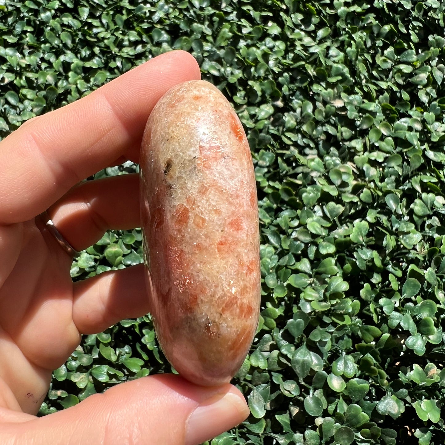 Sunstone Palm Stone