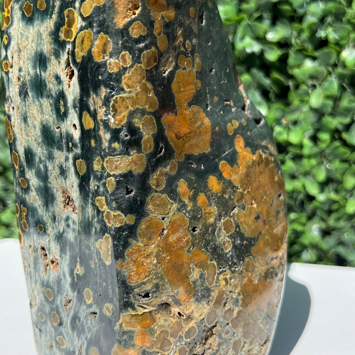 Ocean Jasper Free Form