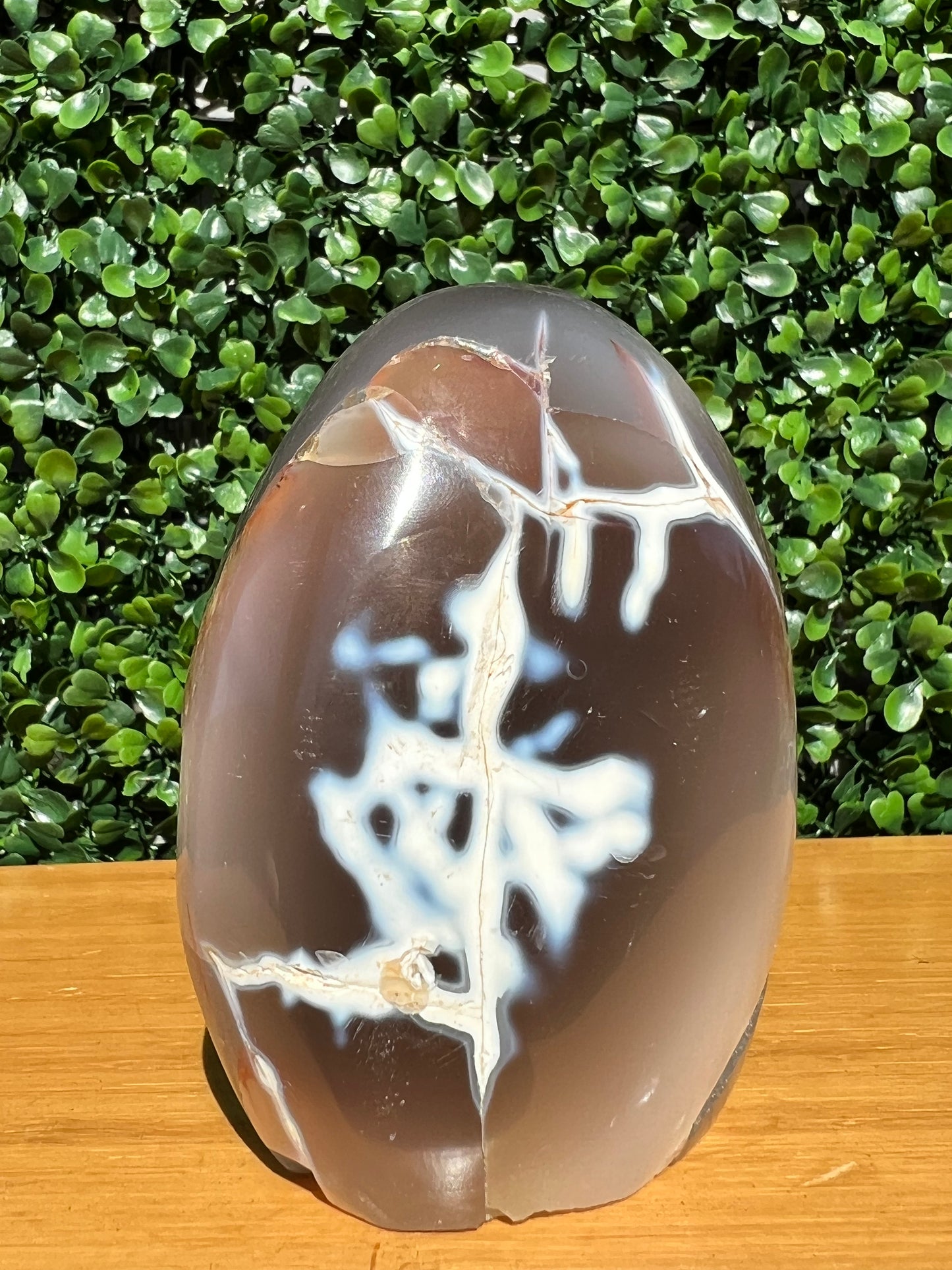 Orca Agate Free Form