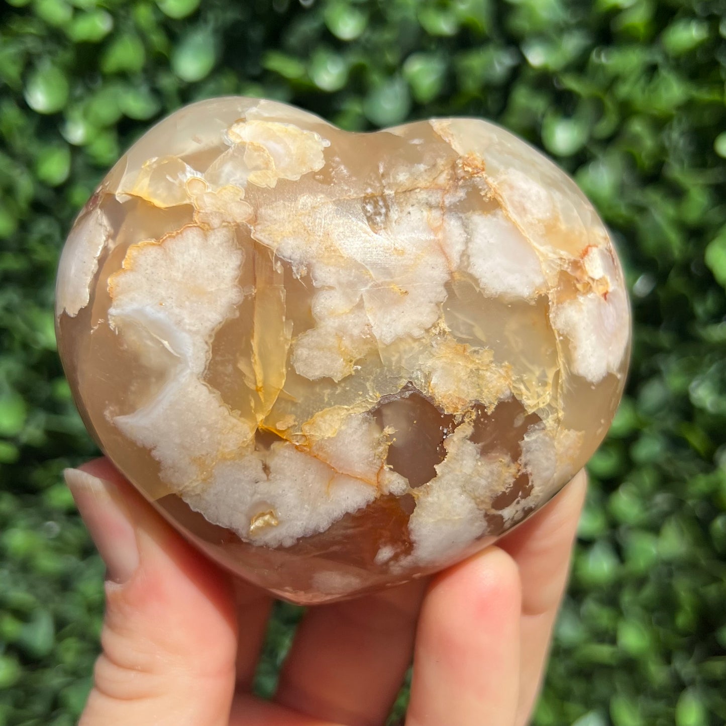 Flower Agate Heart