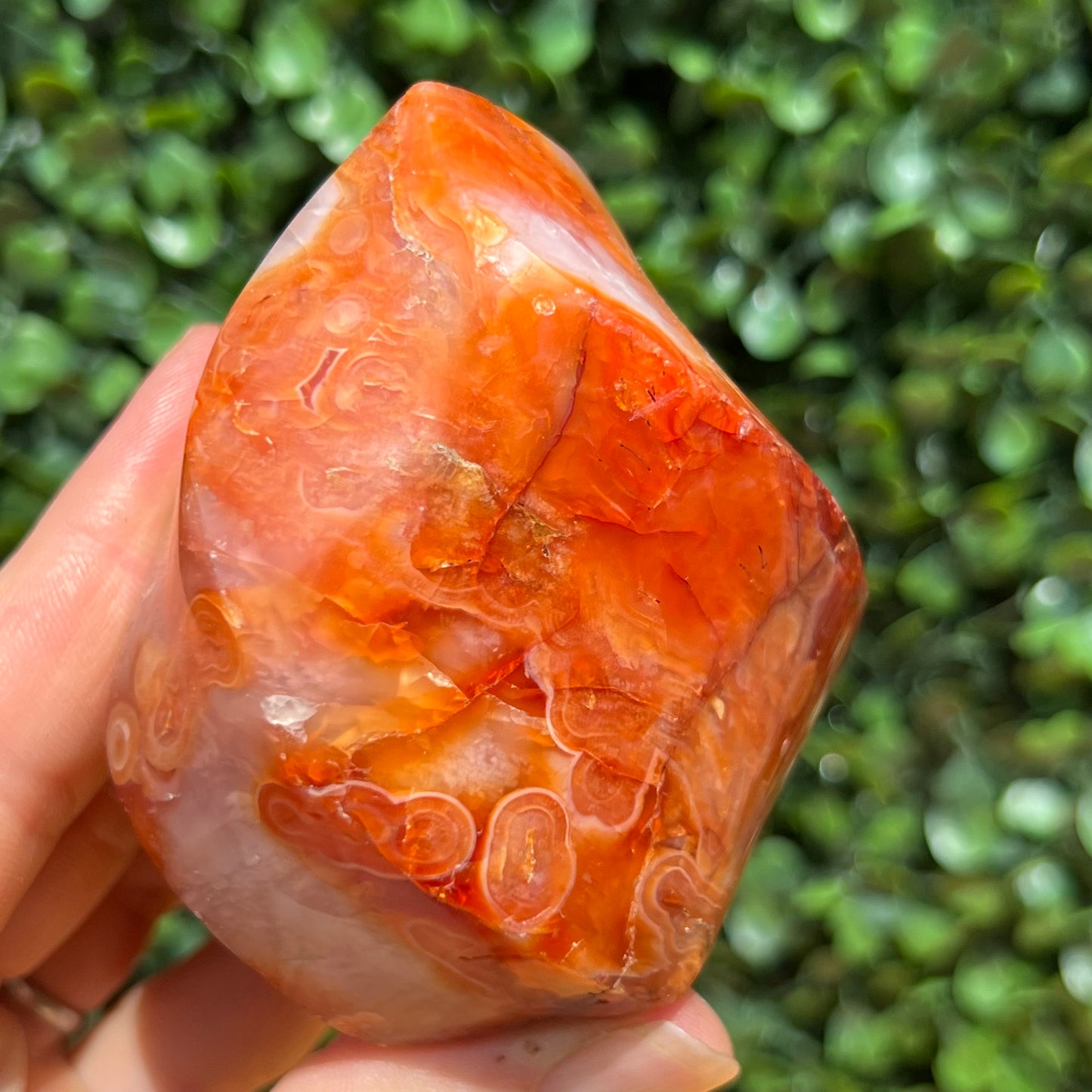 Carnelian Flame