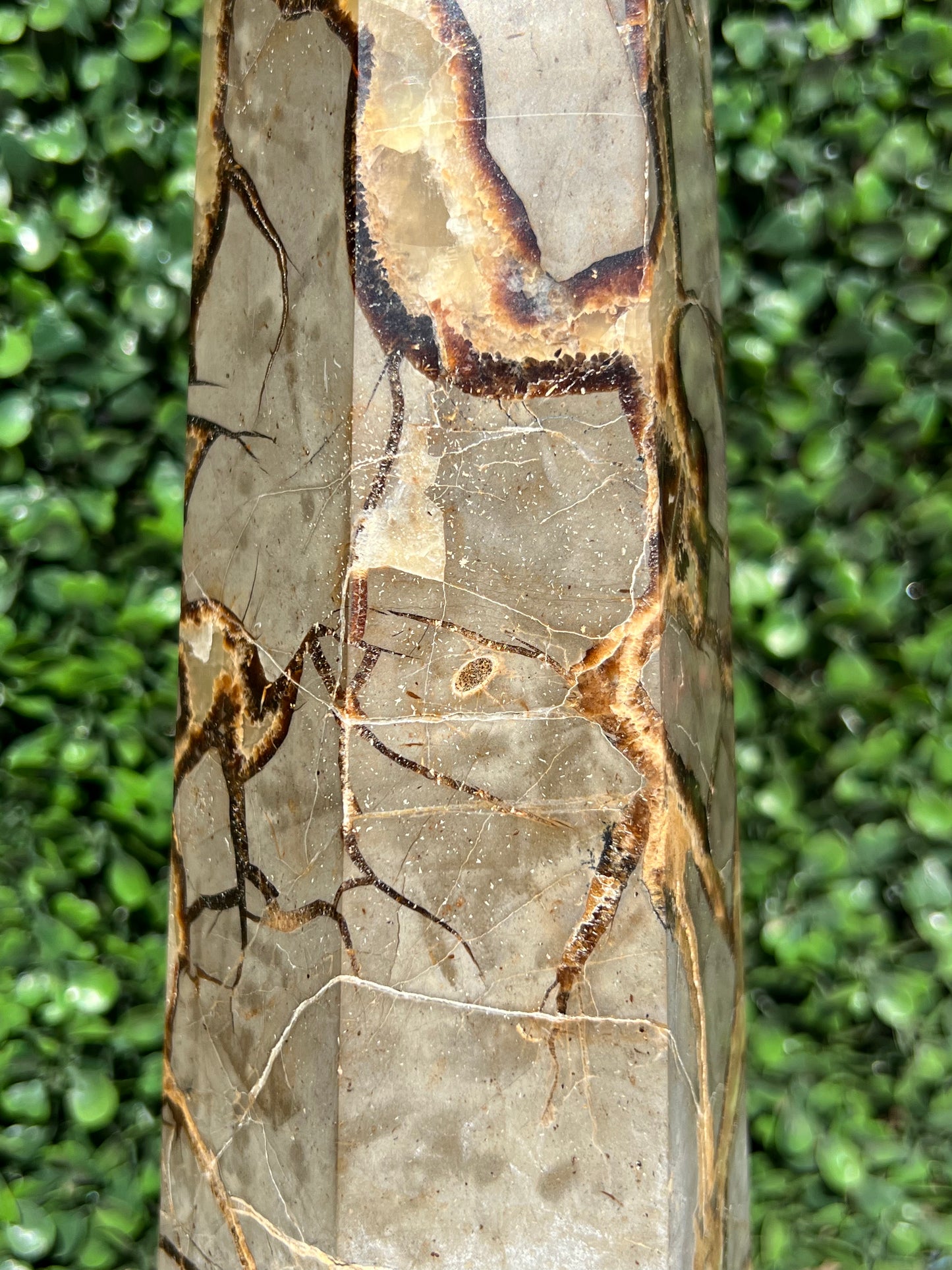 Septarian Generator XXL