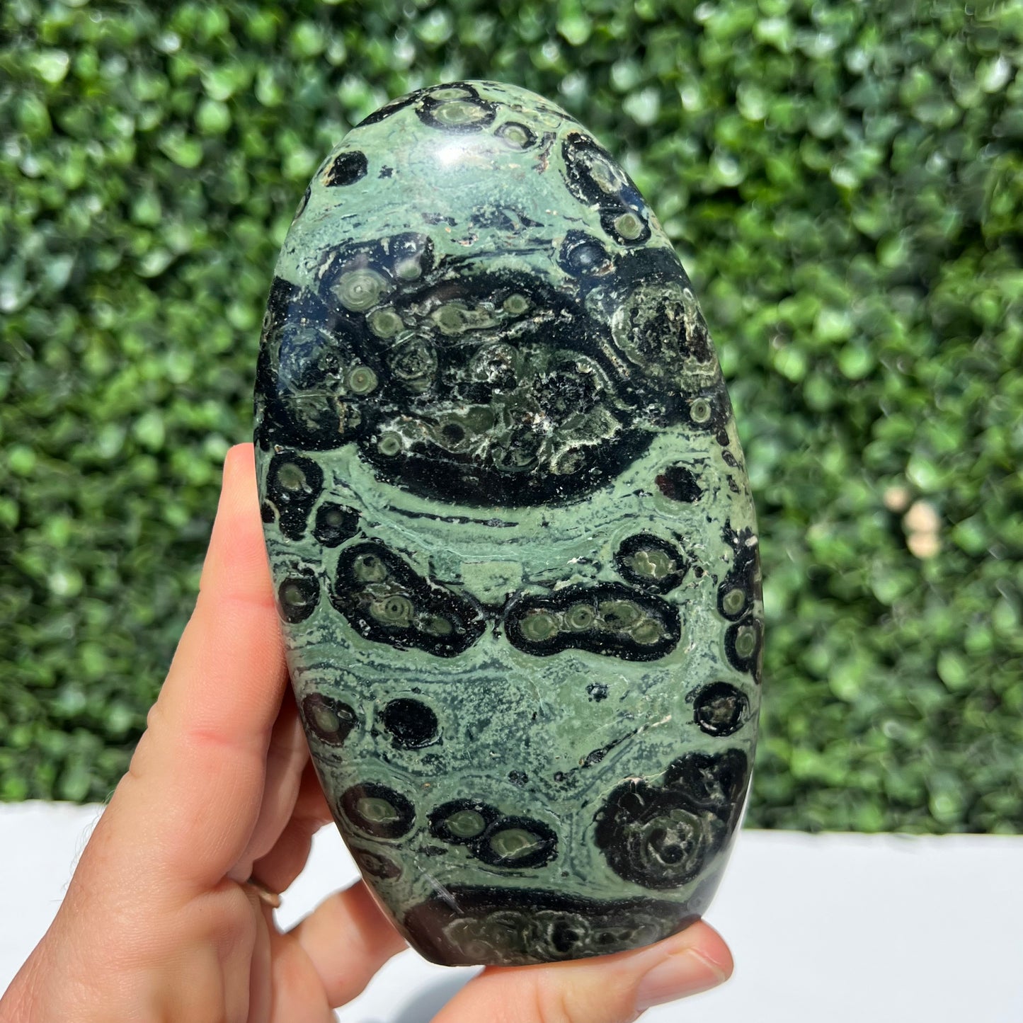 Kambaba Jasper Free Form