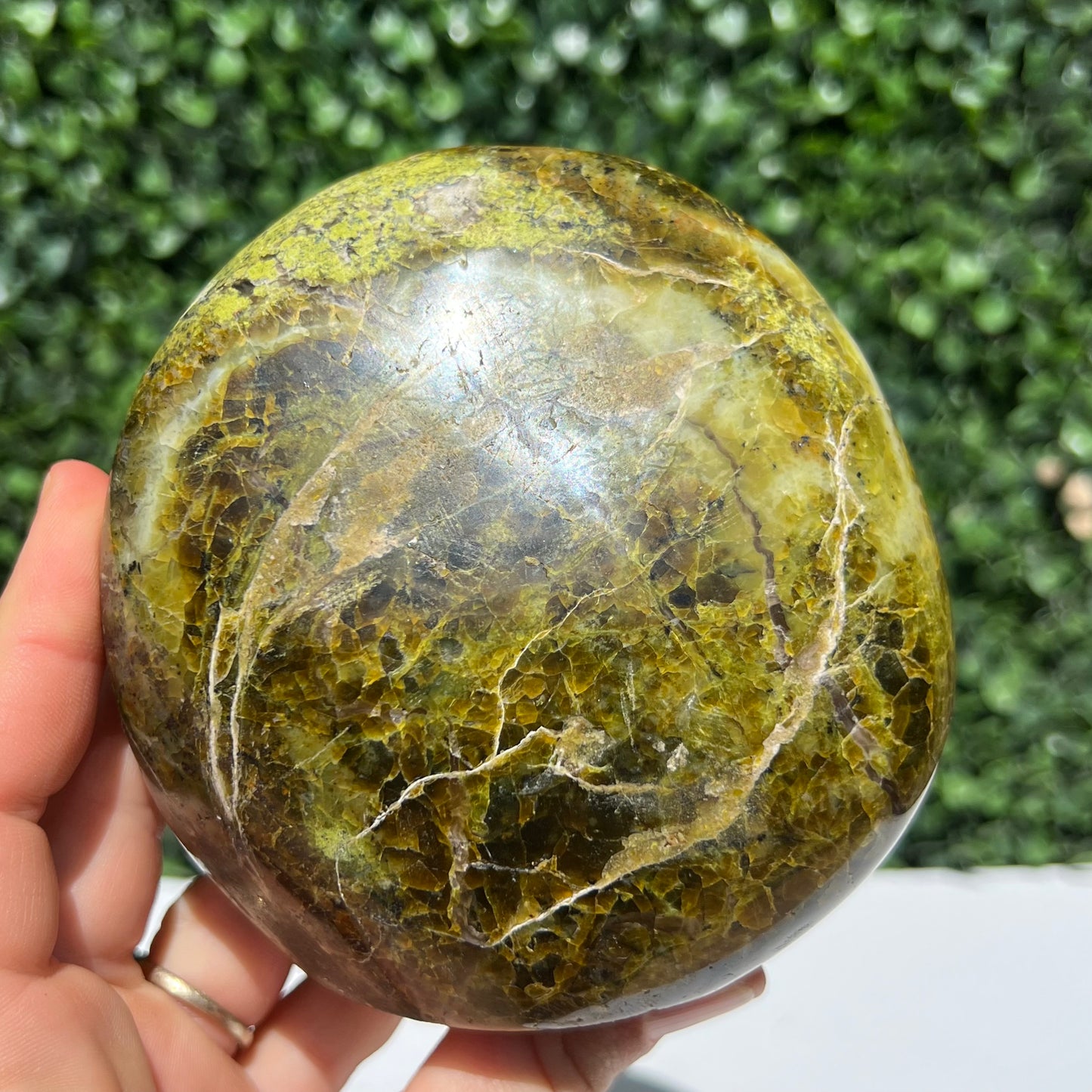 Kiwi Opal Free Form
