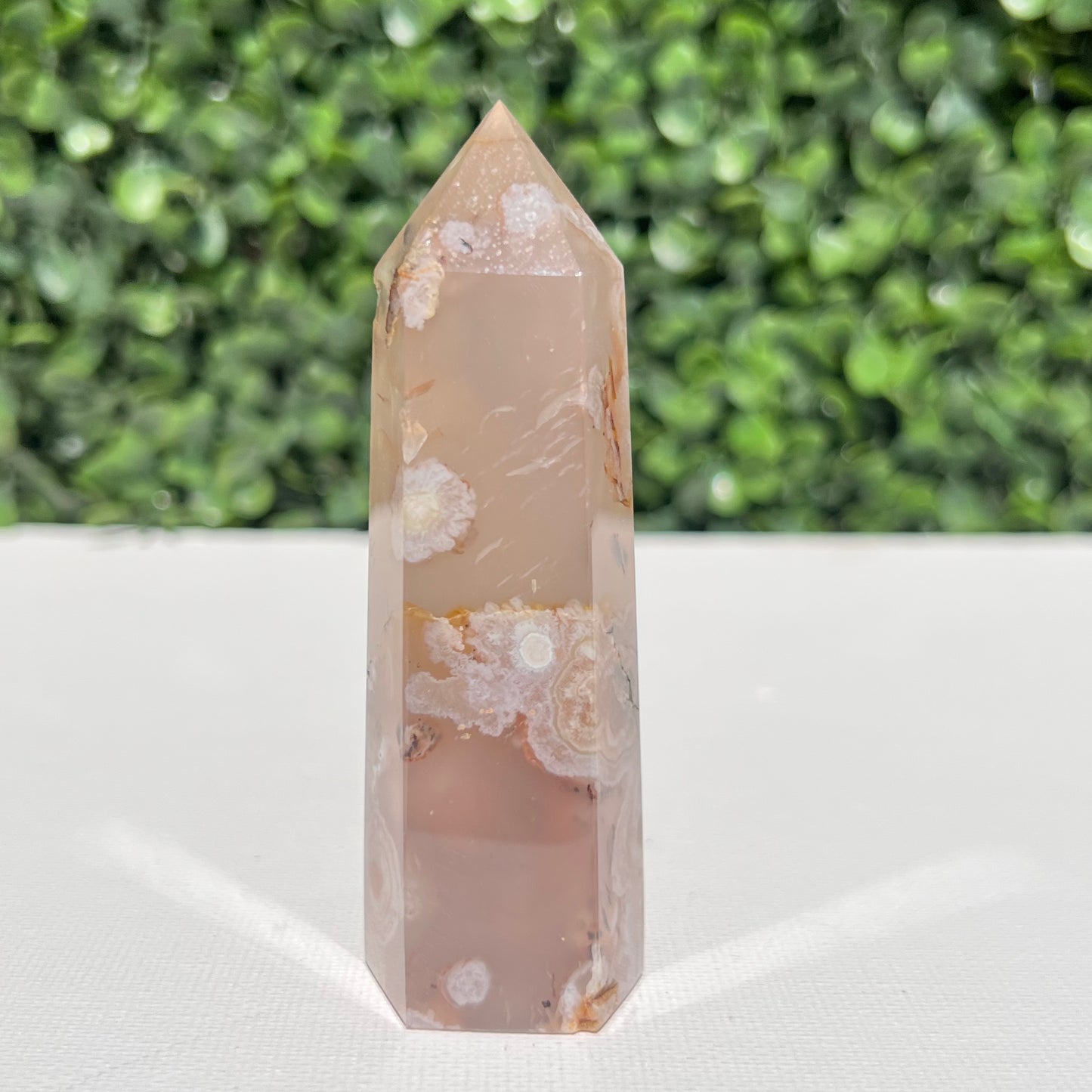 Flower Agate Point
