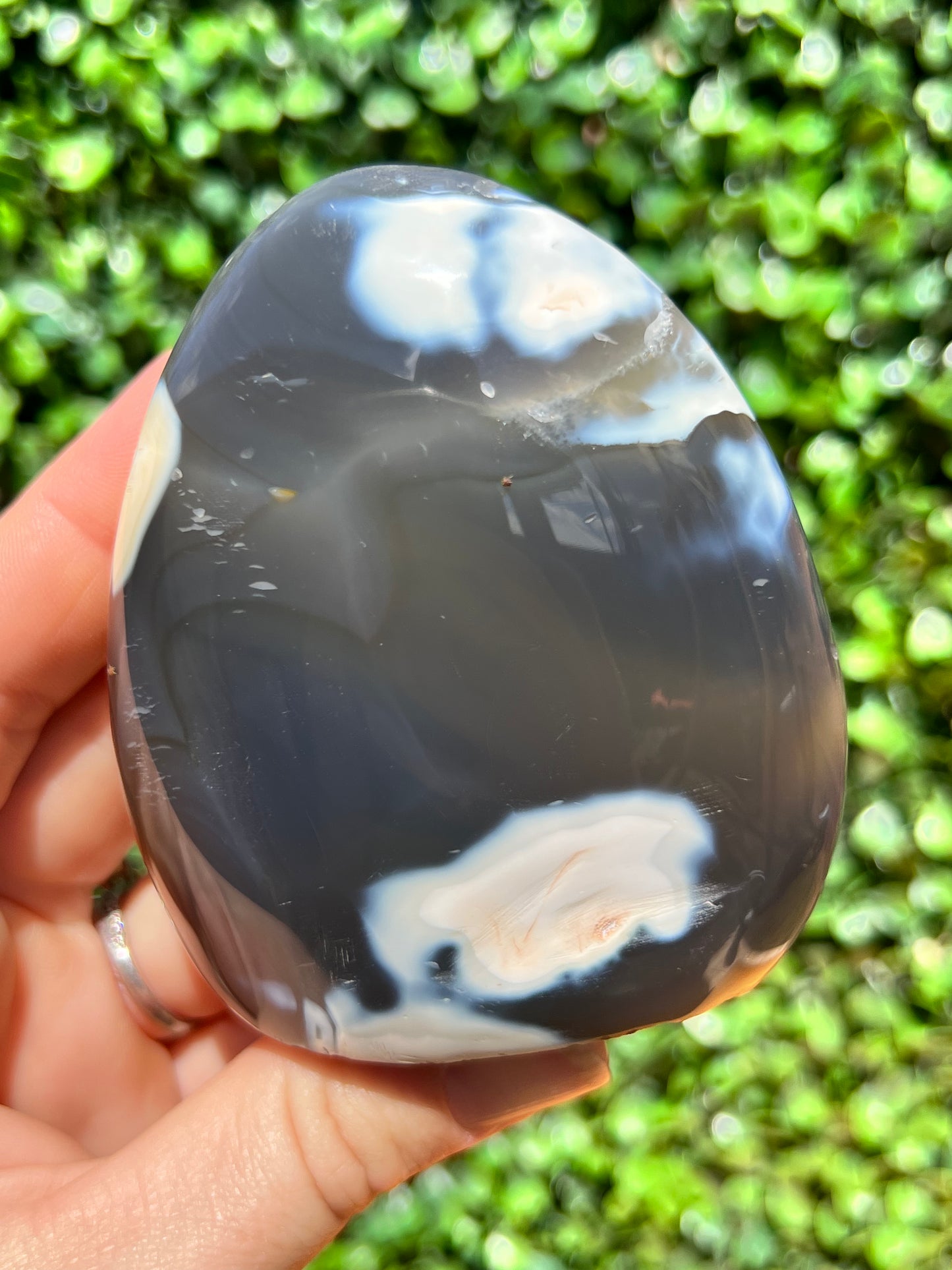 Orca Agate Free Form