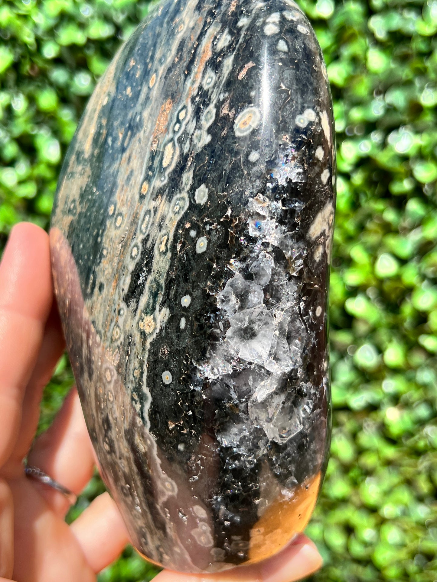 Ocean Jasper Free Form