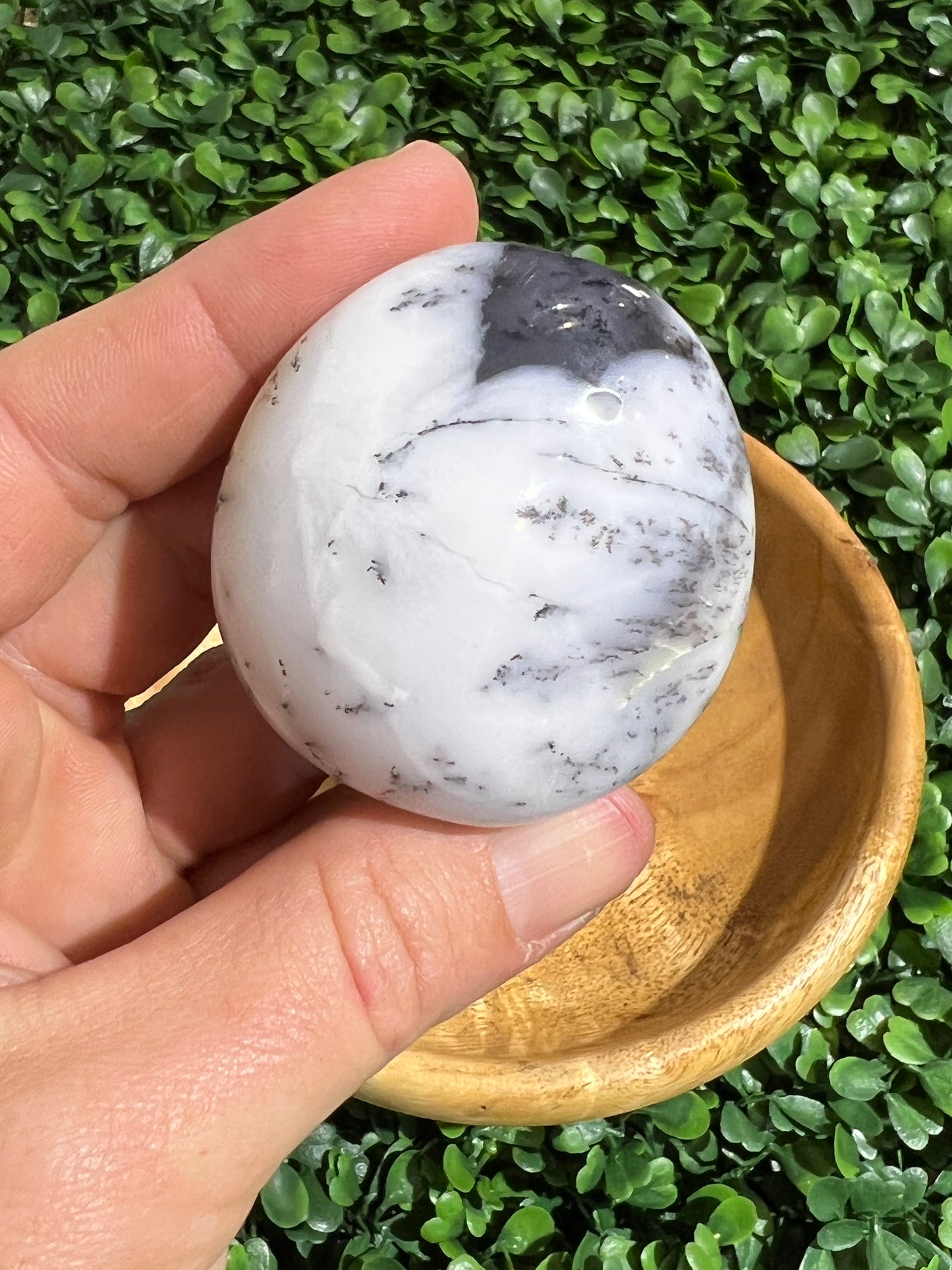 Dendritic Agate Gemstone Palm Stone’s
