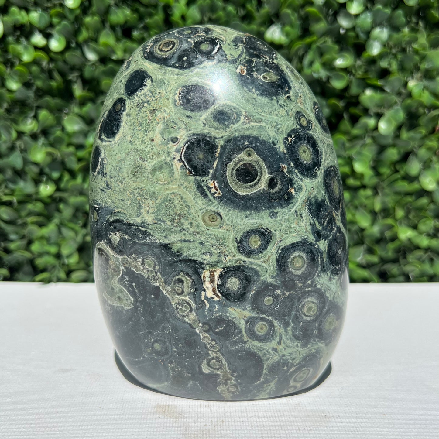 Kambaba Jasper Free Form