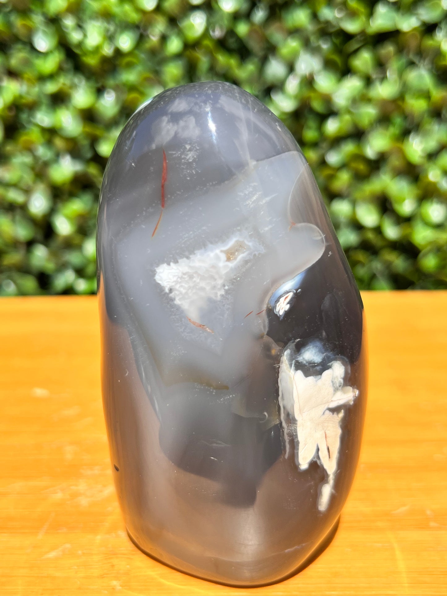Orca Agate Free Form