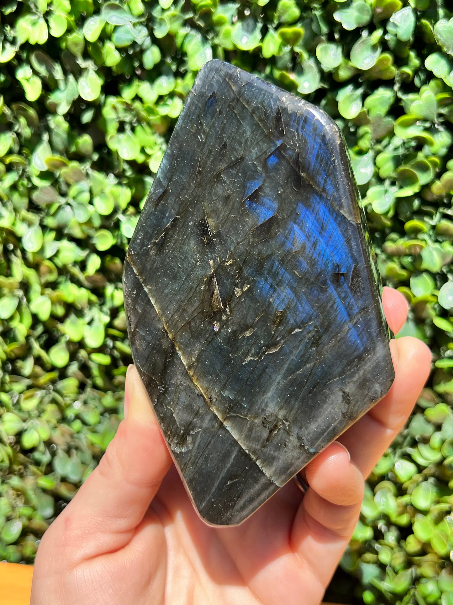 Labradorite Free Form