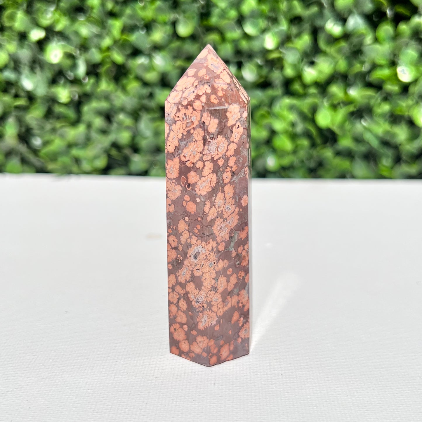 Leopard Skin Point