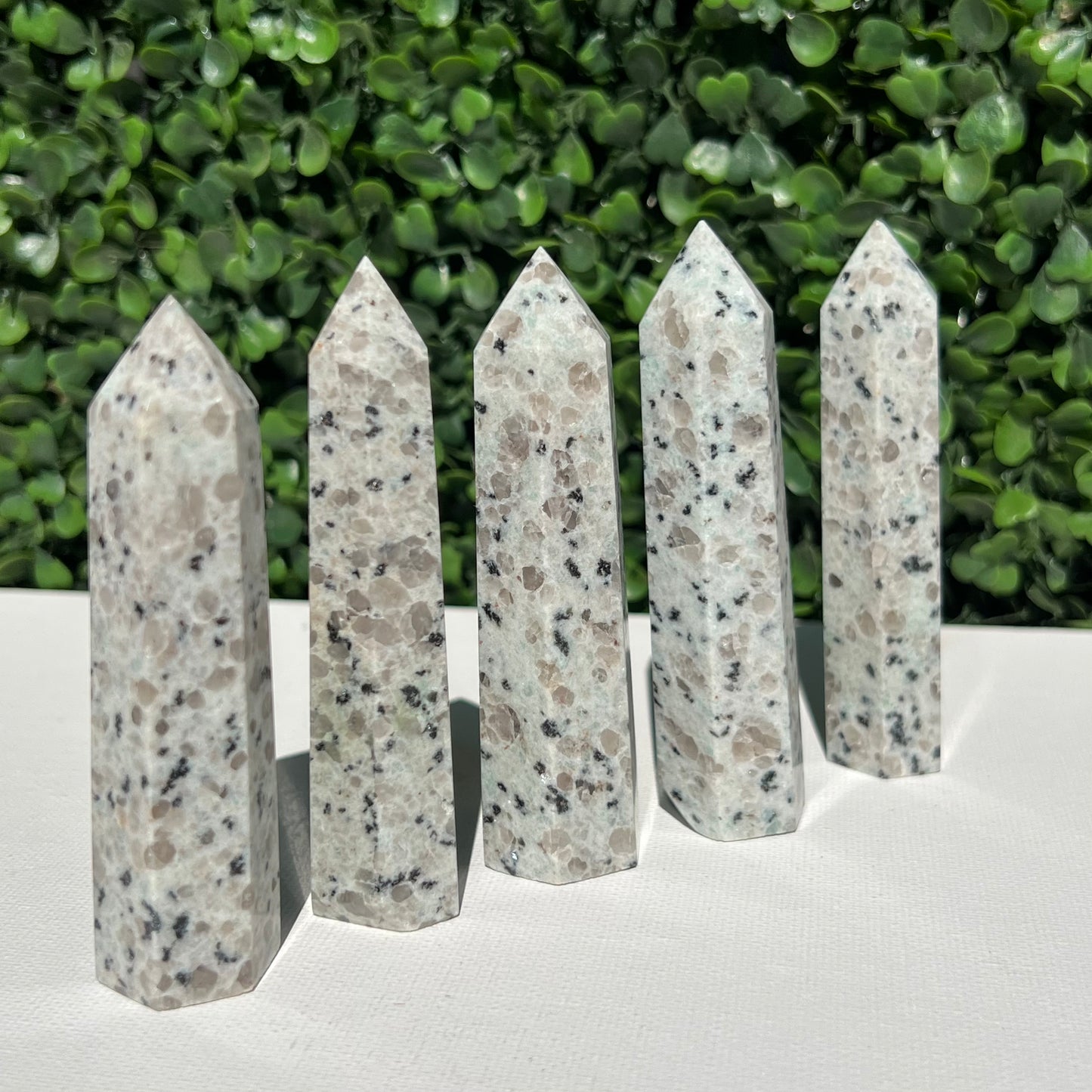 Kiwi Jasper Point’s