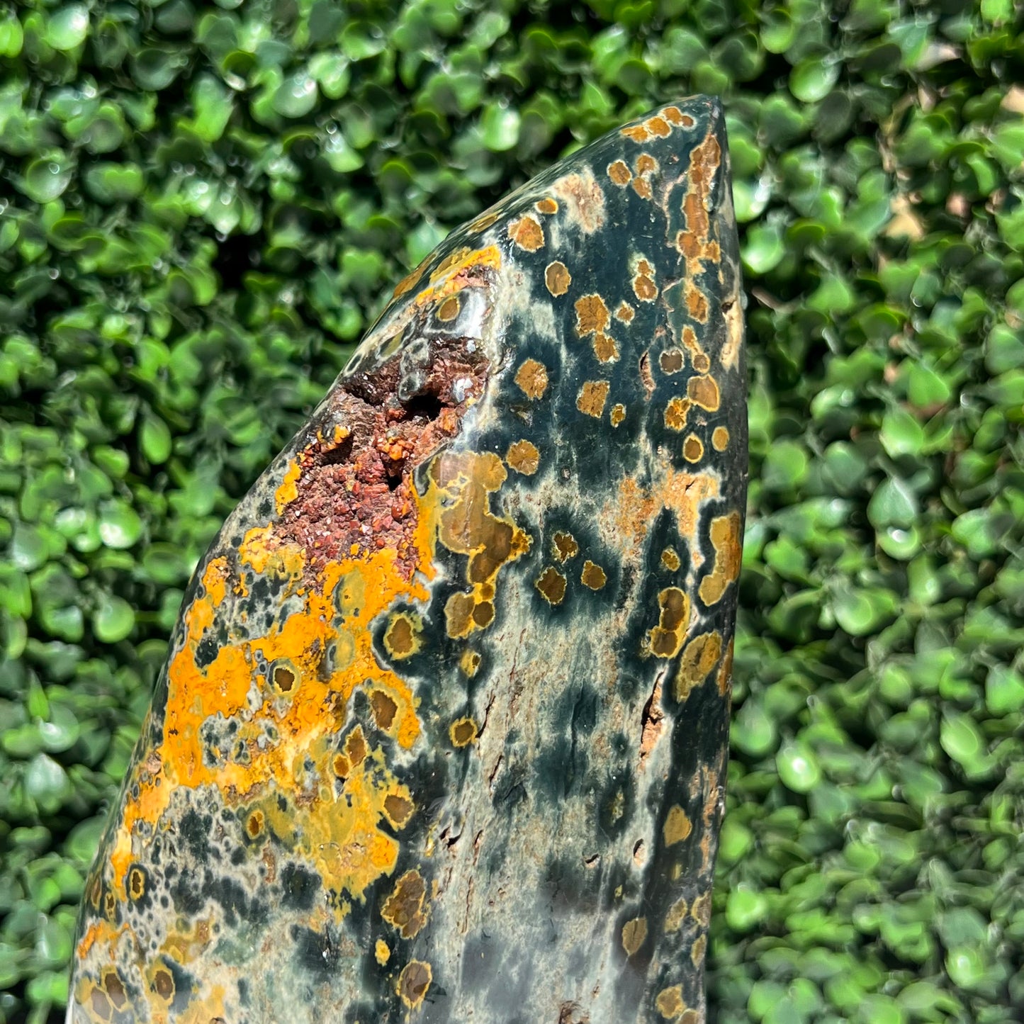 Ocean Jasper Free Form