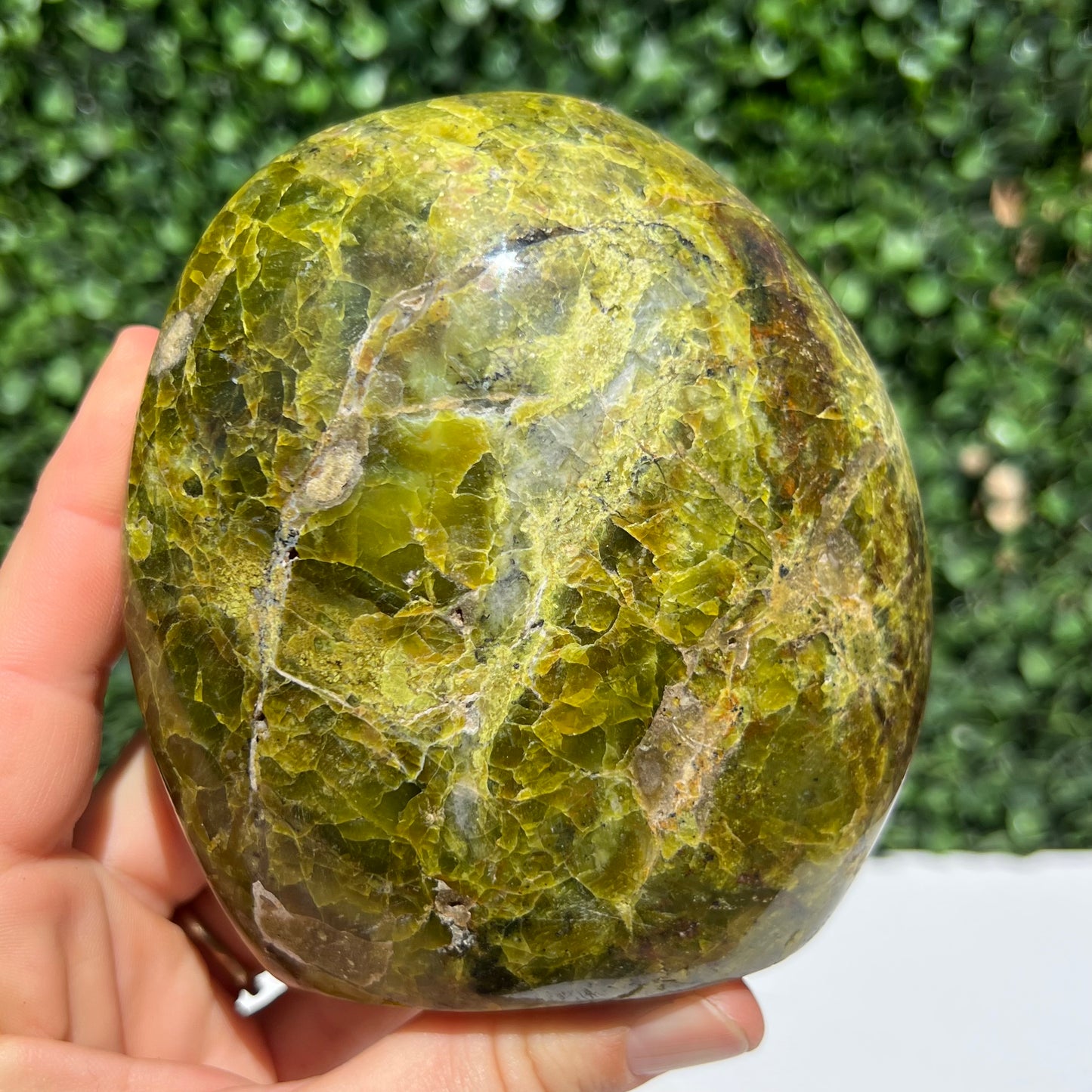 Kiwi Opal Free Form