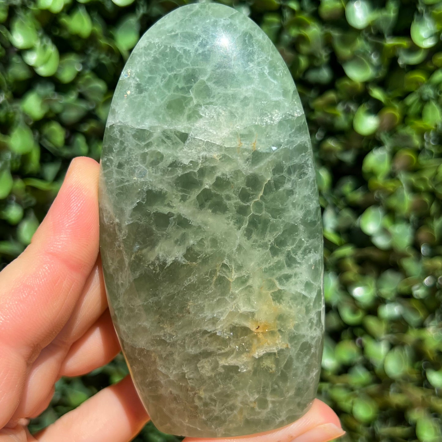 Fluorite Free Form