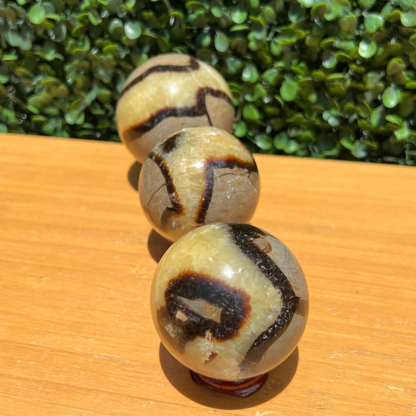 Septarian Yellow Calcite Sphere’s