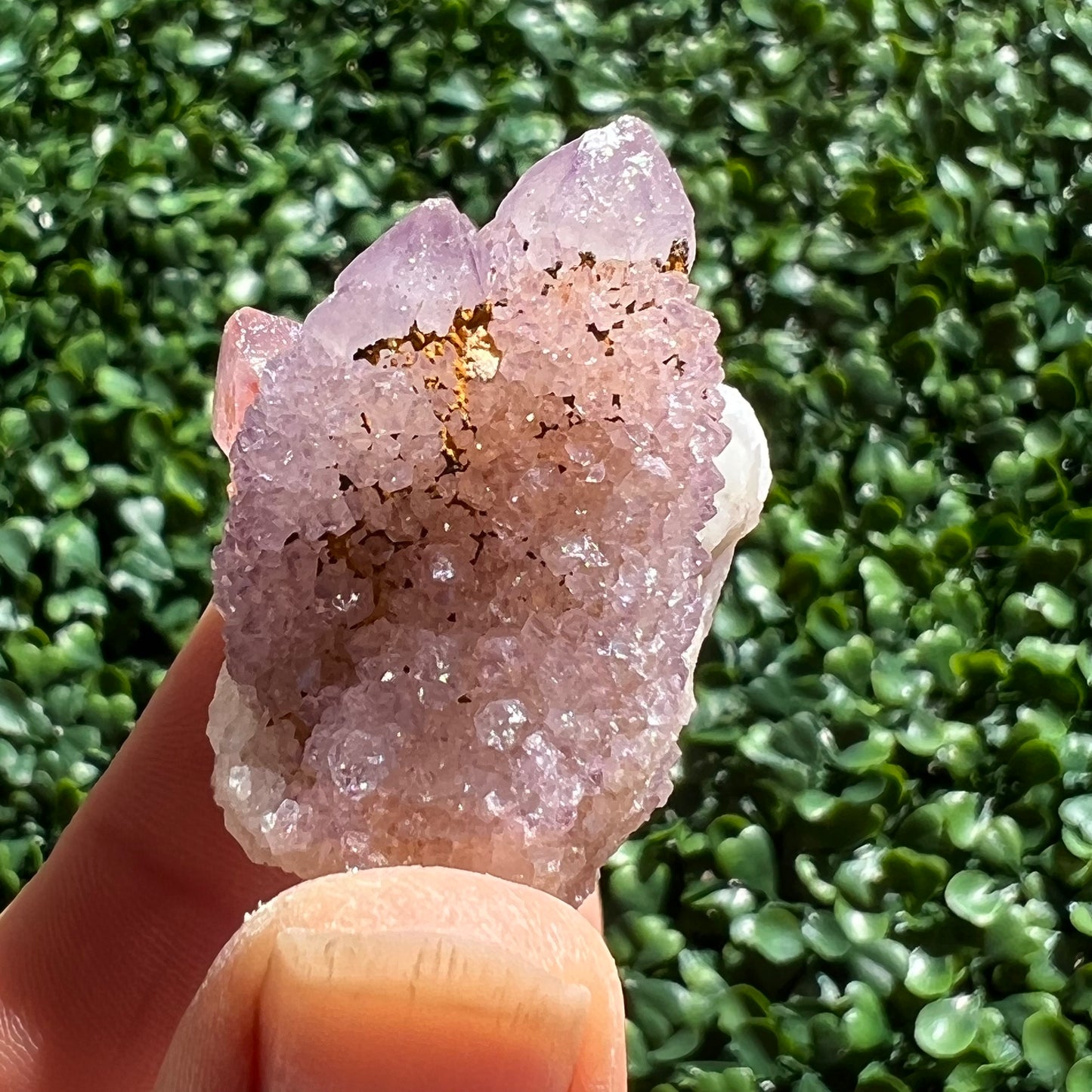 Amethyst Spirit Quartz Specimen
