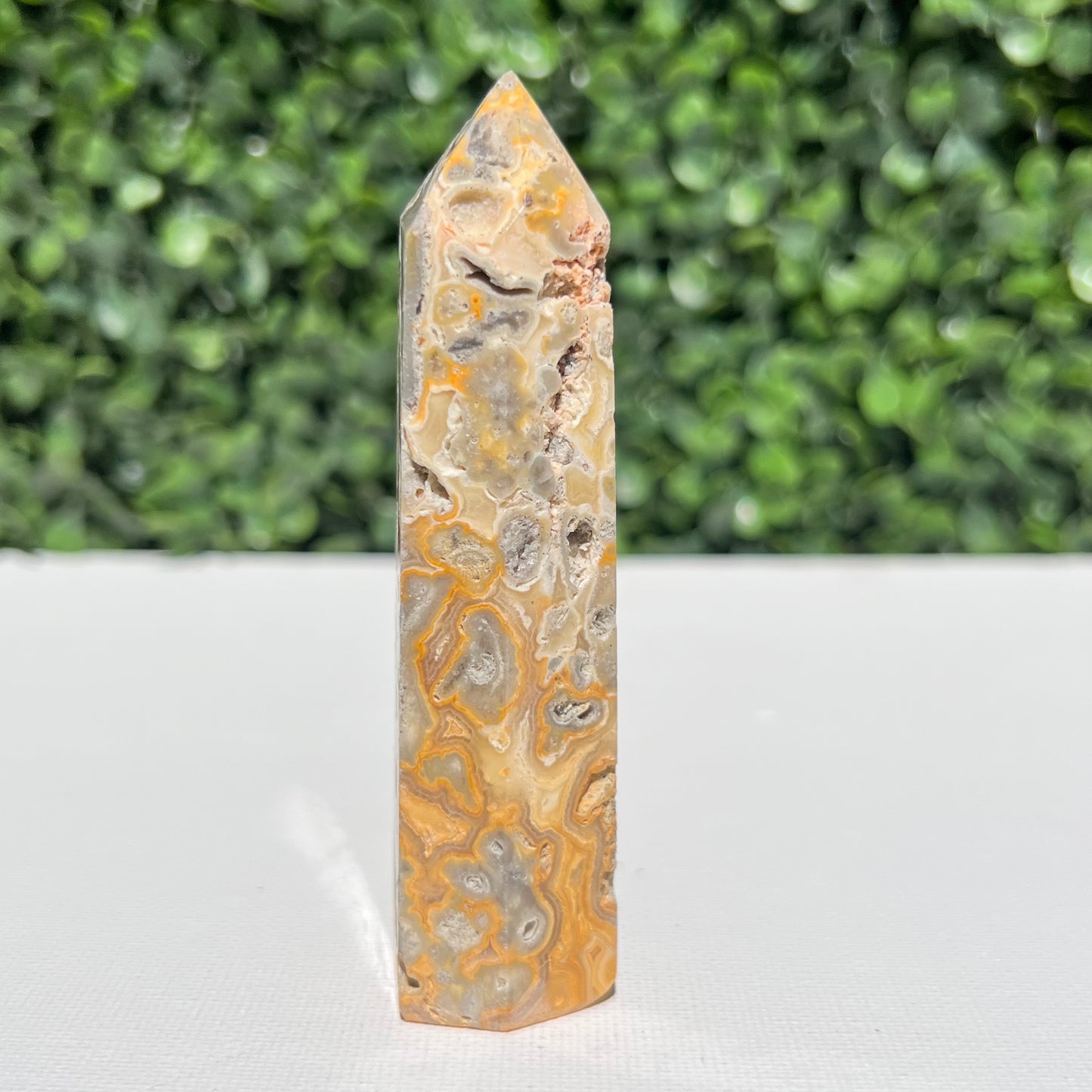 Crazy Lace Agate Point