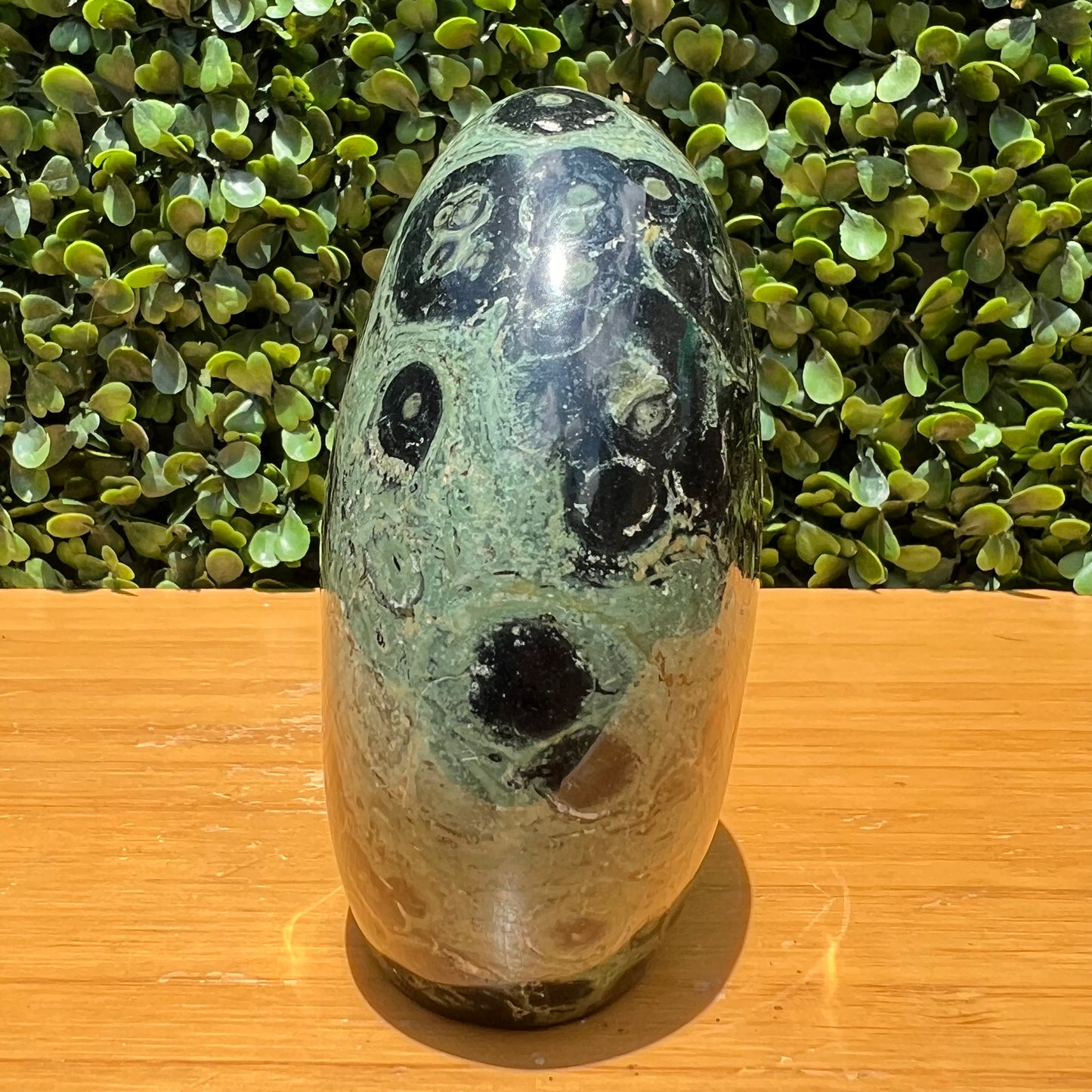 Kambaba Jasper Free Form