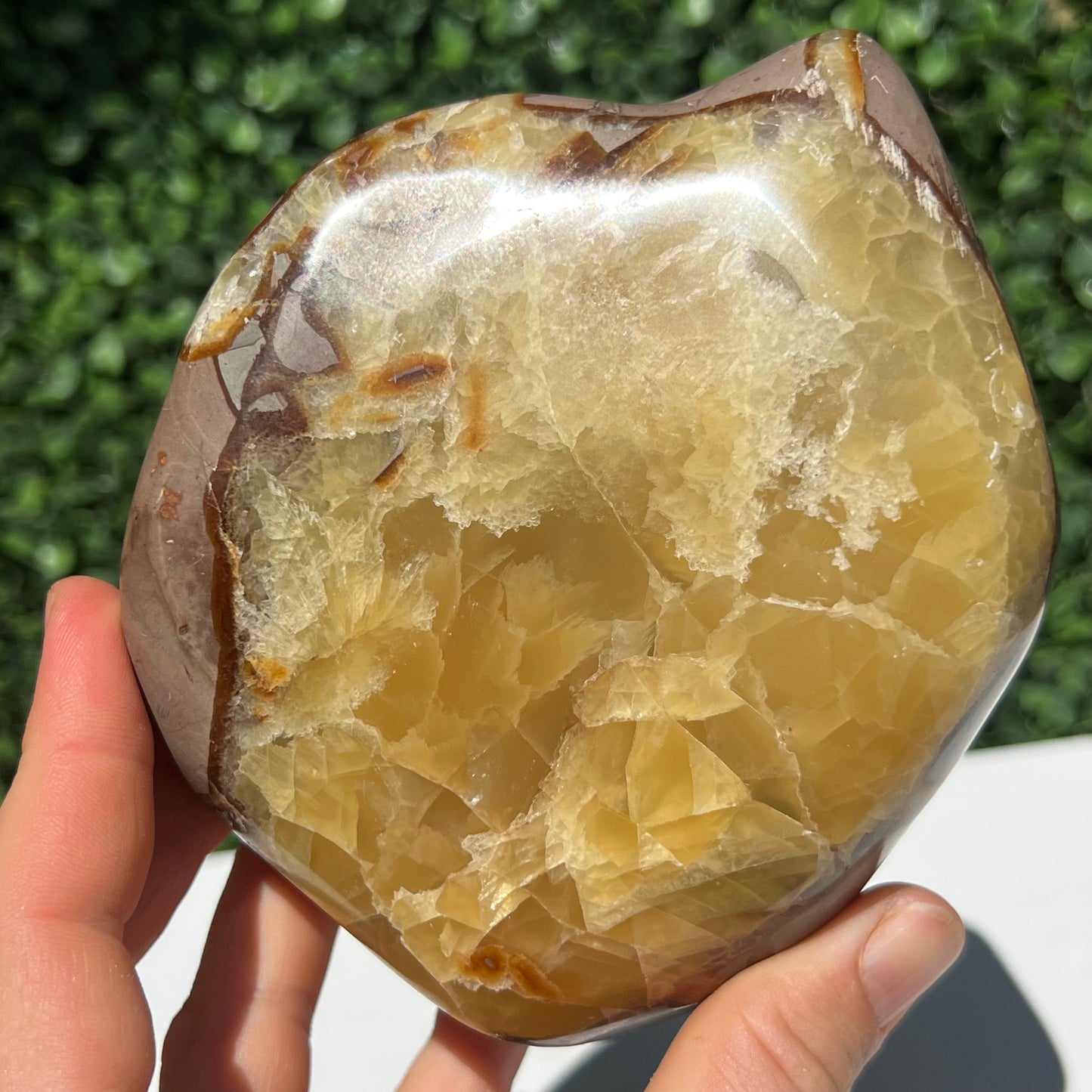 Septarian Yellow Calcite Free Form