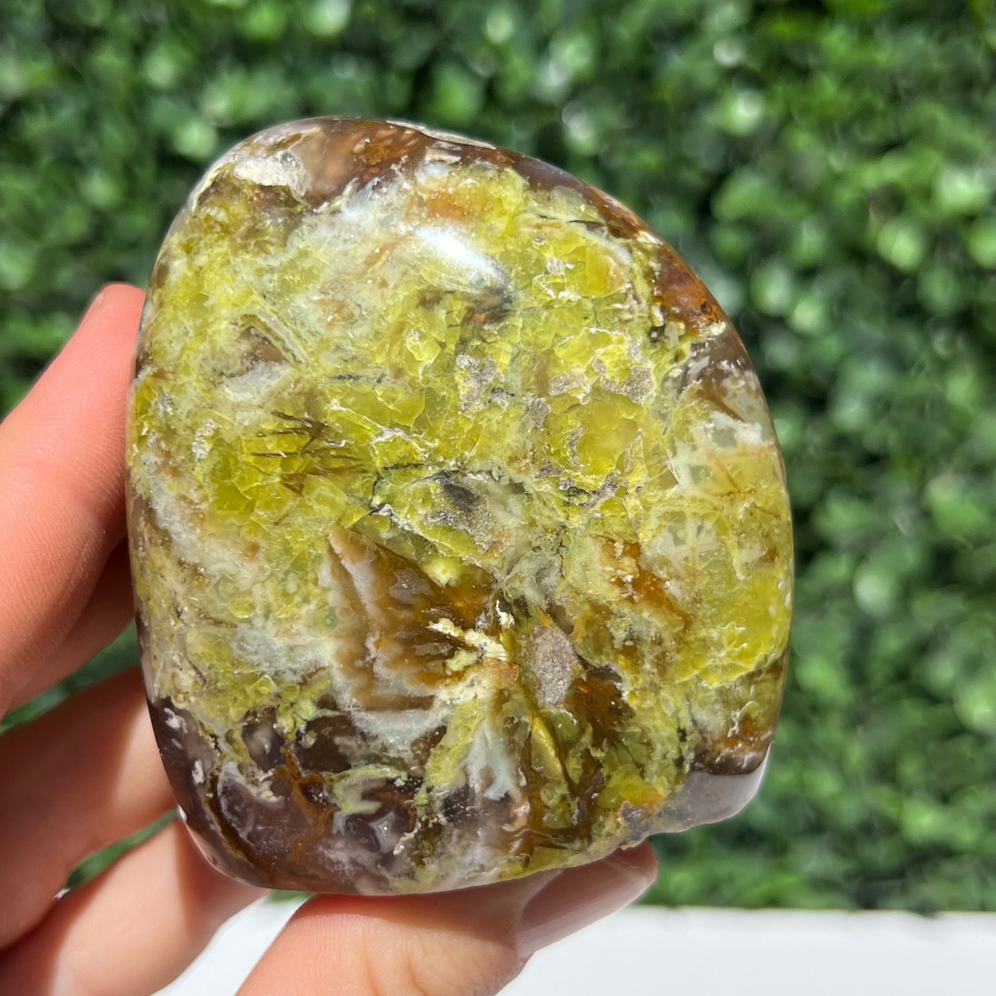 Kiwi Opal Free Form