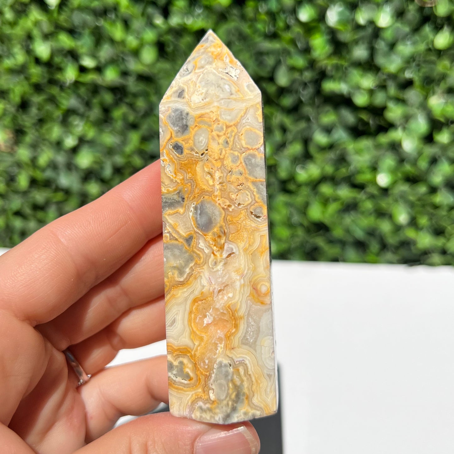 Crazy Lace Agate Point