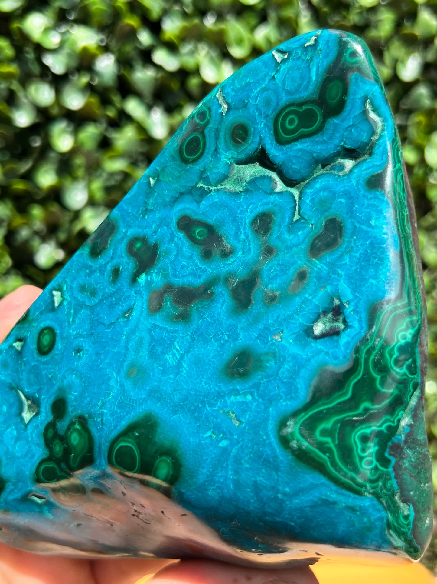 Chrysocolla Malachite Free Form