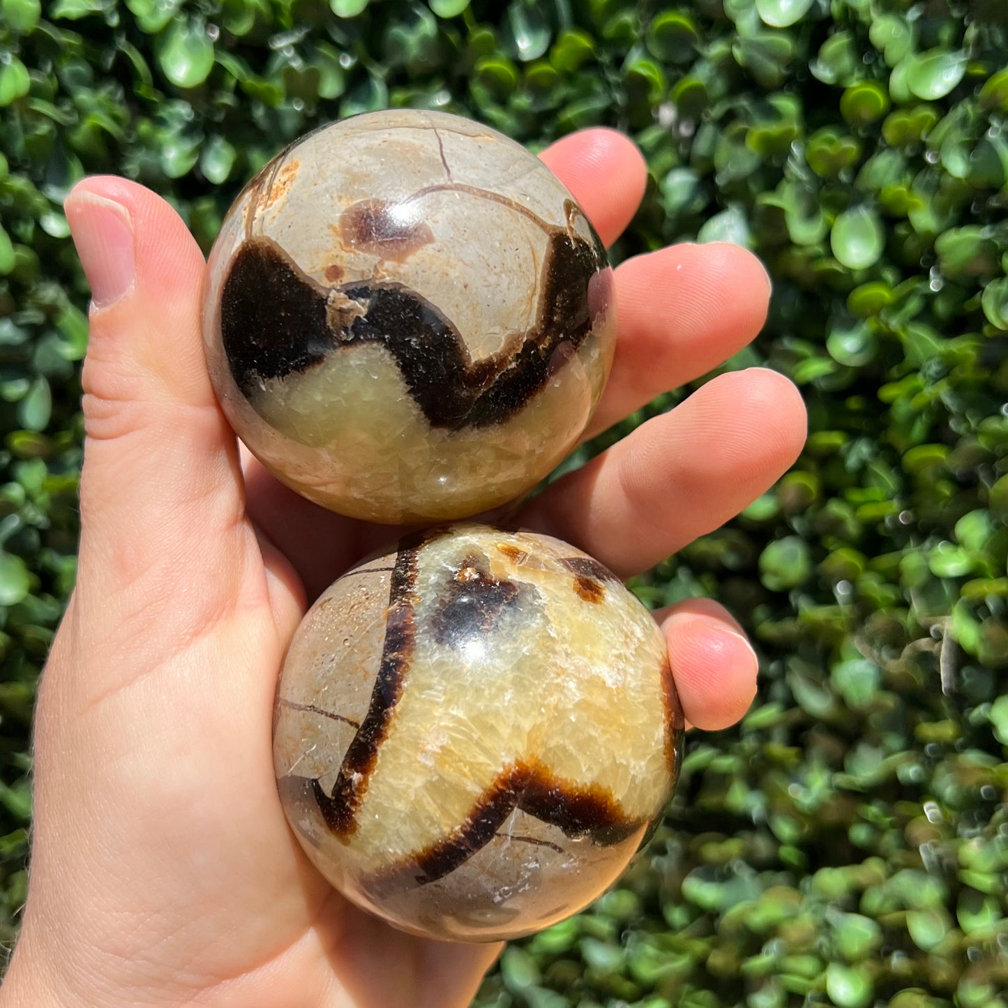 Septarian Yellow Calcite Sphere’s