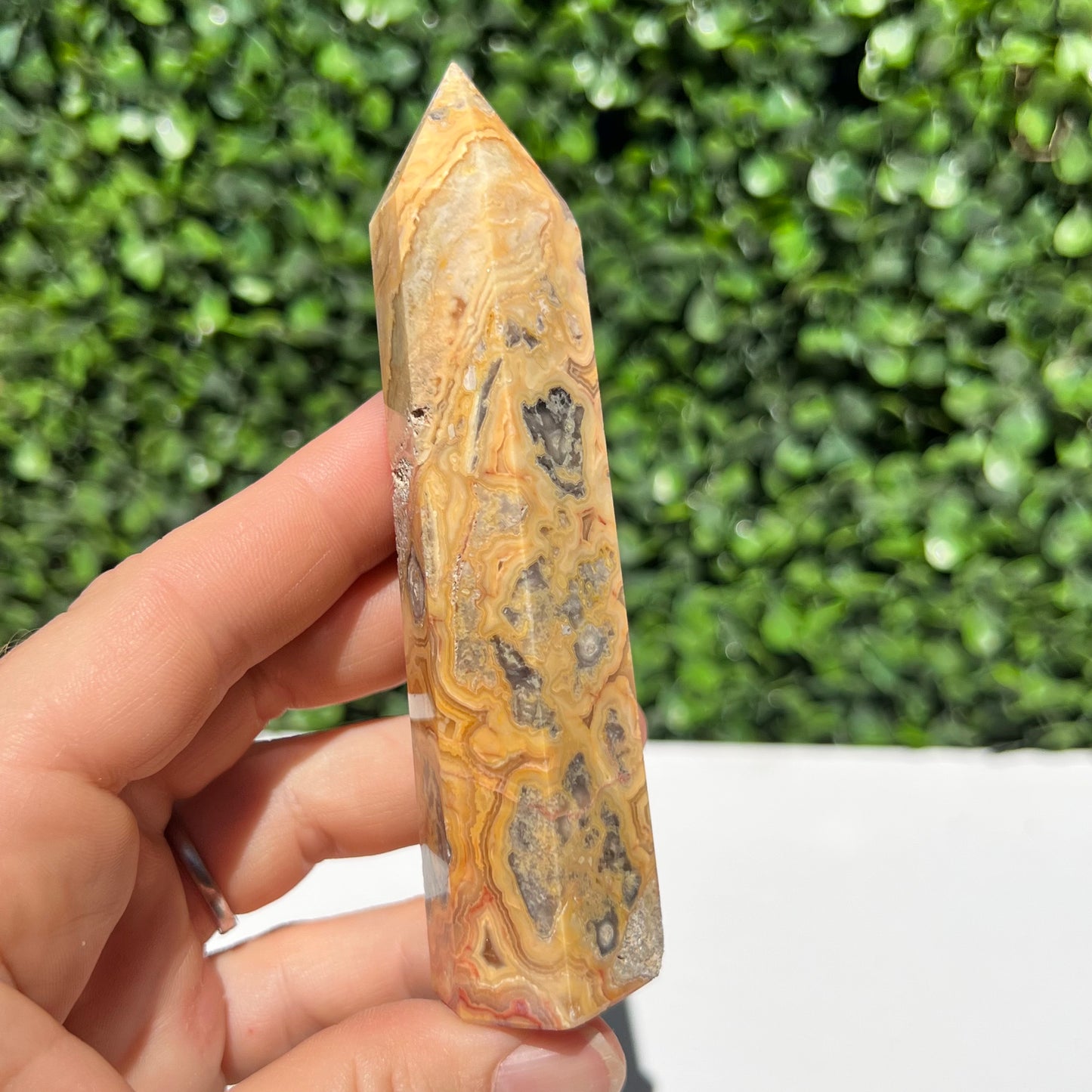 Crazy Lace Agate Point
