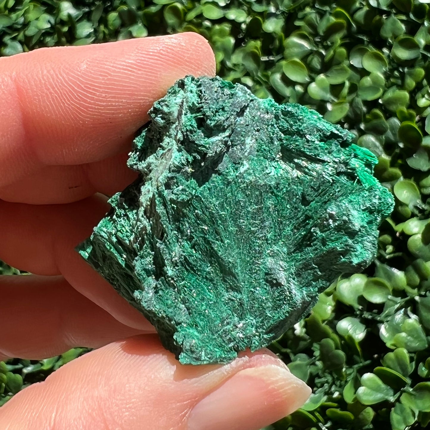 Fibrous Malachite Specimen