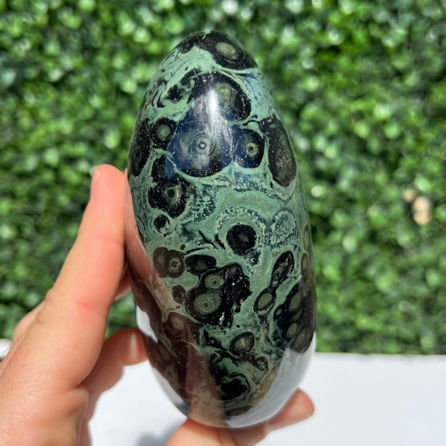 Kambaba Jasper Free Form