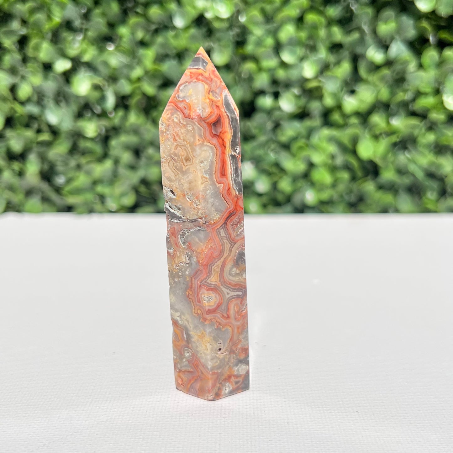 Crazy Lace Agate Point