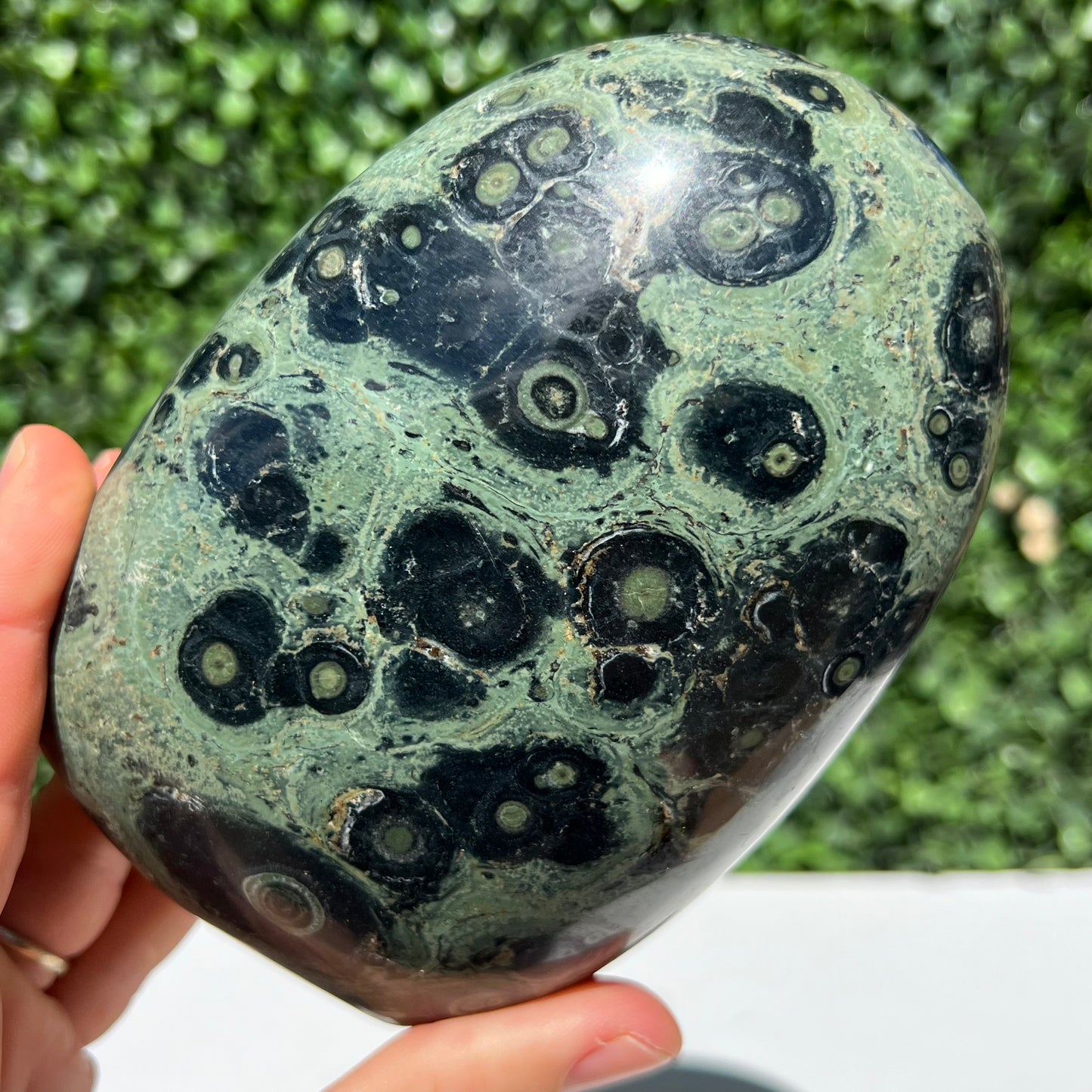 Kambaba Jasper Free Form