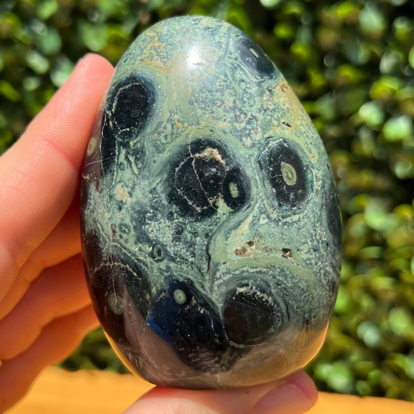 Kambaba Jasper Free Form
