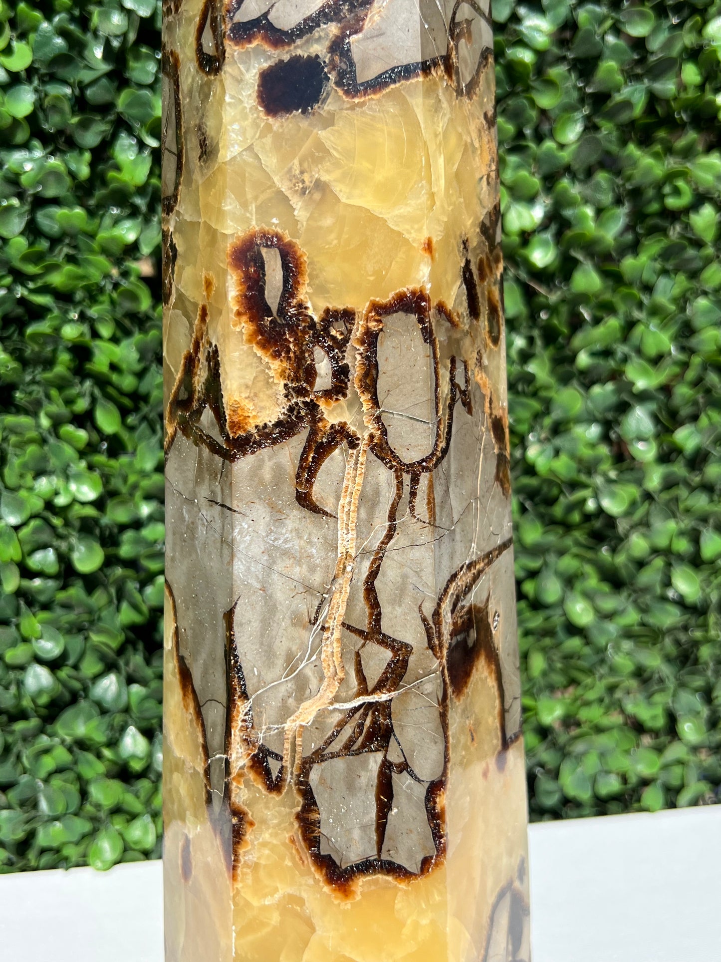 Septarian Generator XXL