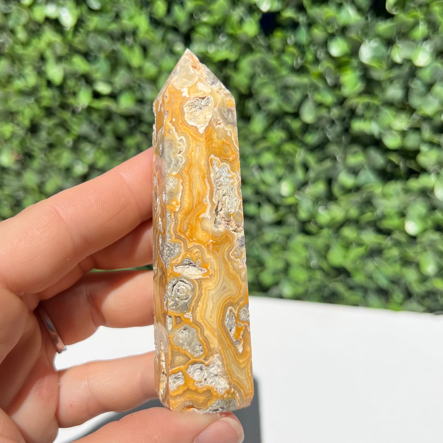 Crazy Lace Agate Point