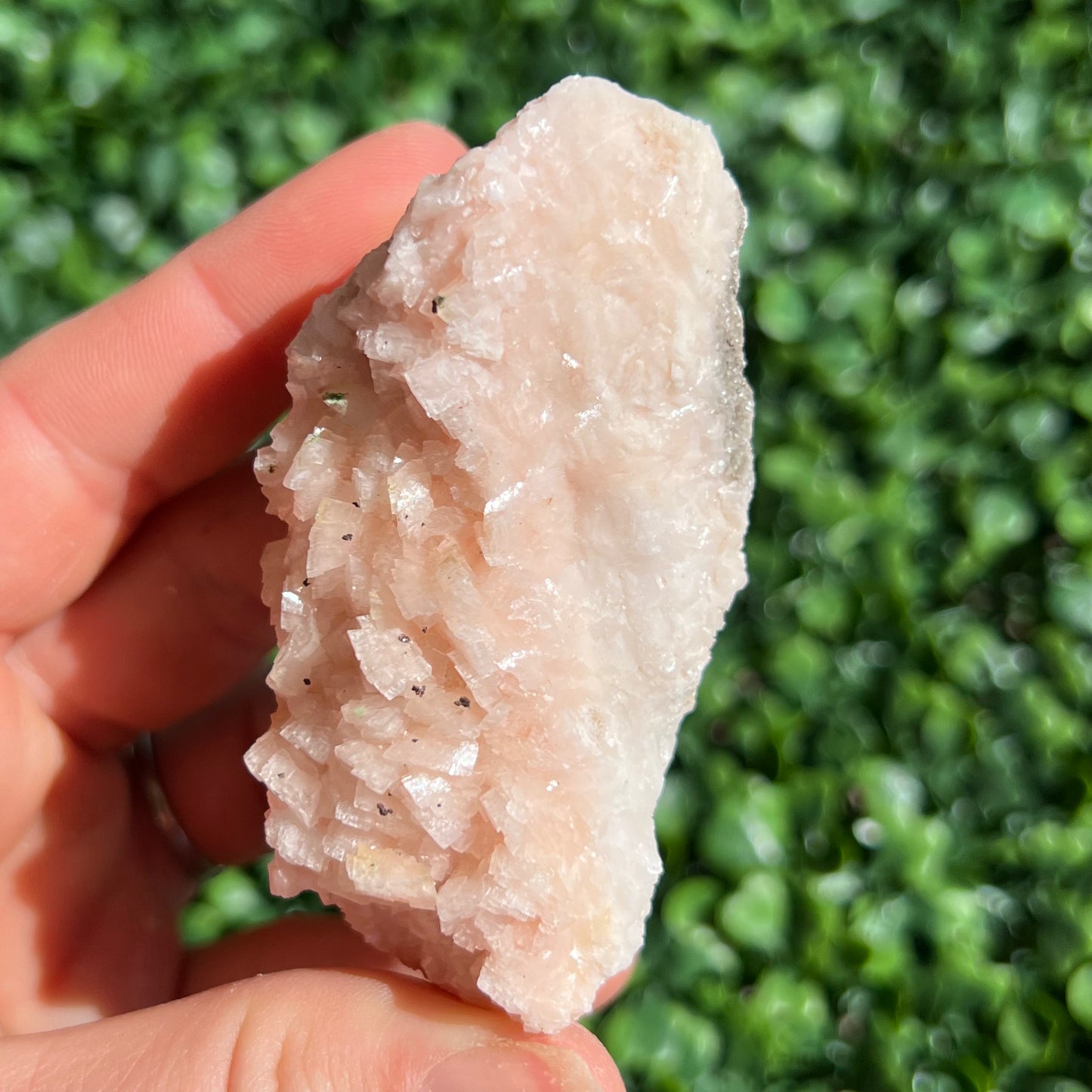 Pink Dolomite Specimen