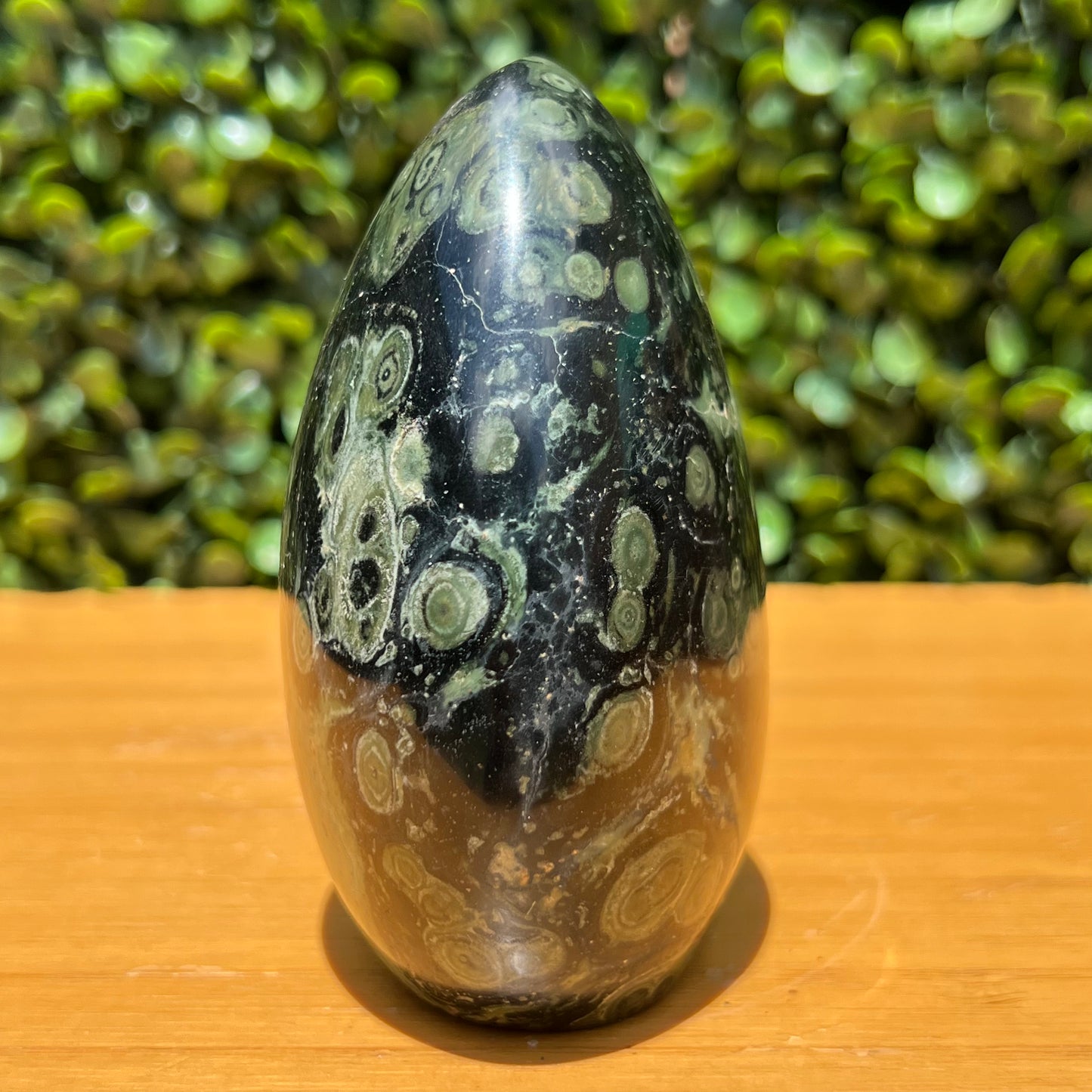 Kambaba Jasper Free Form