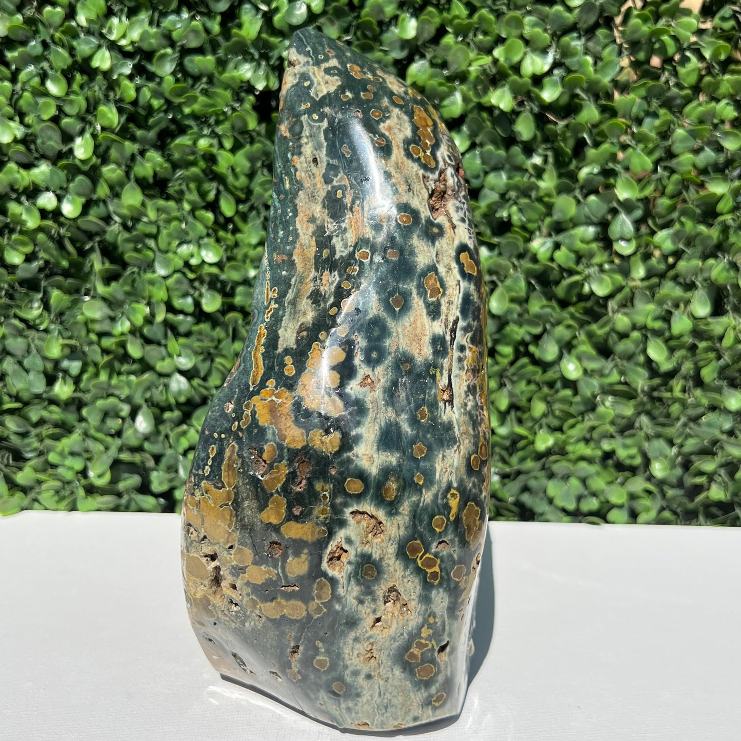 Ocean Jasper Free Form