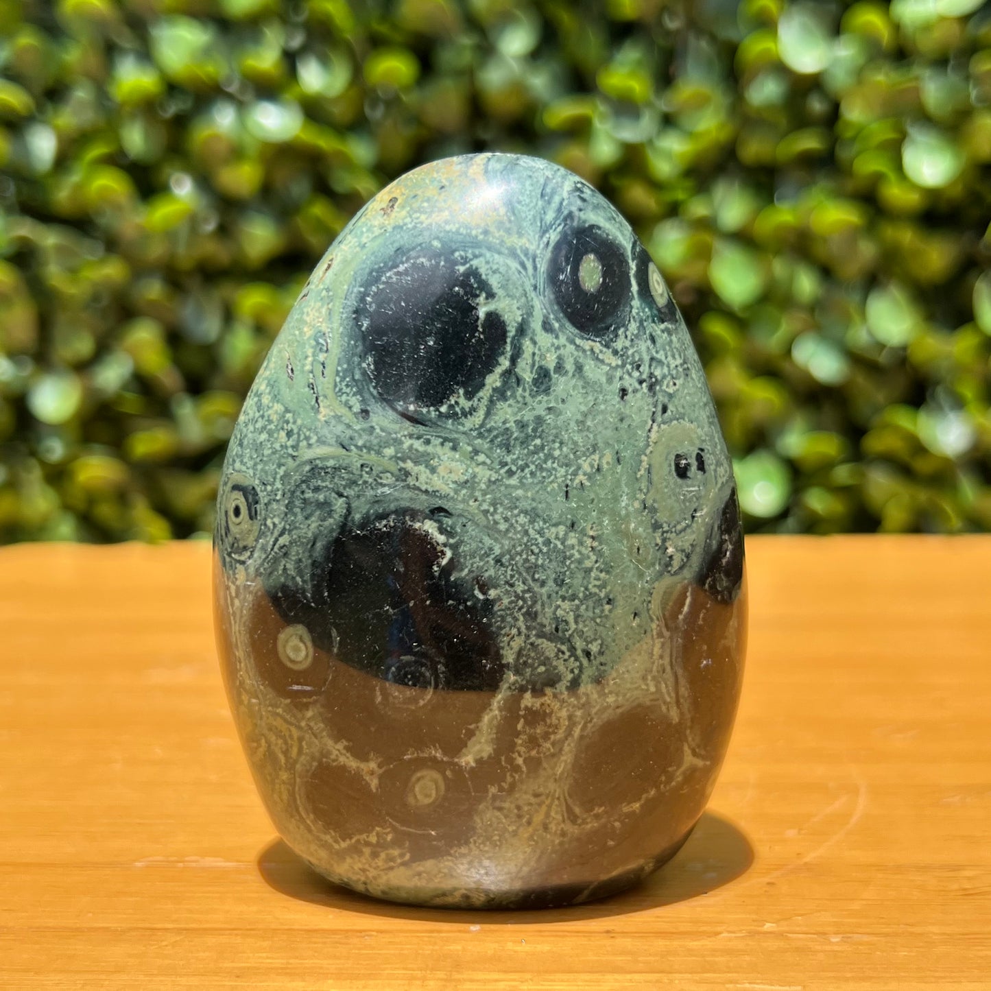 Kambaba Jasper Free Form