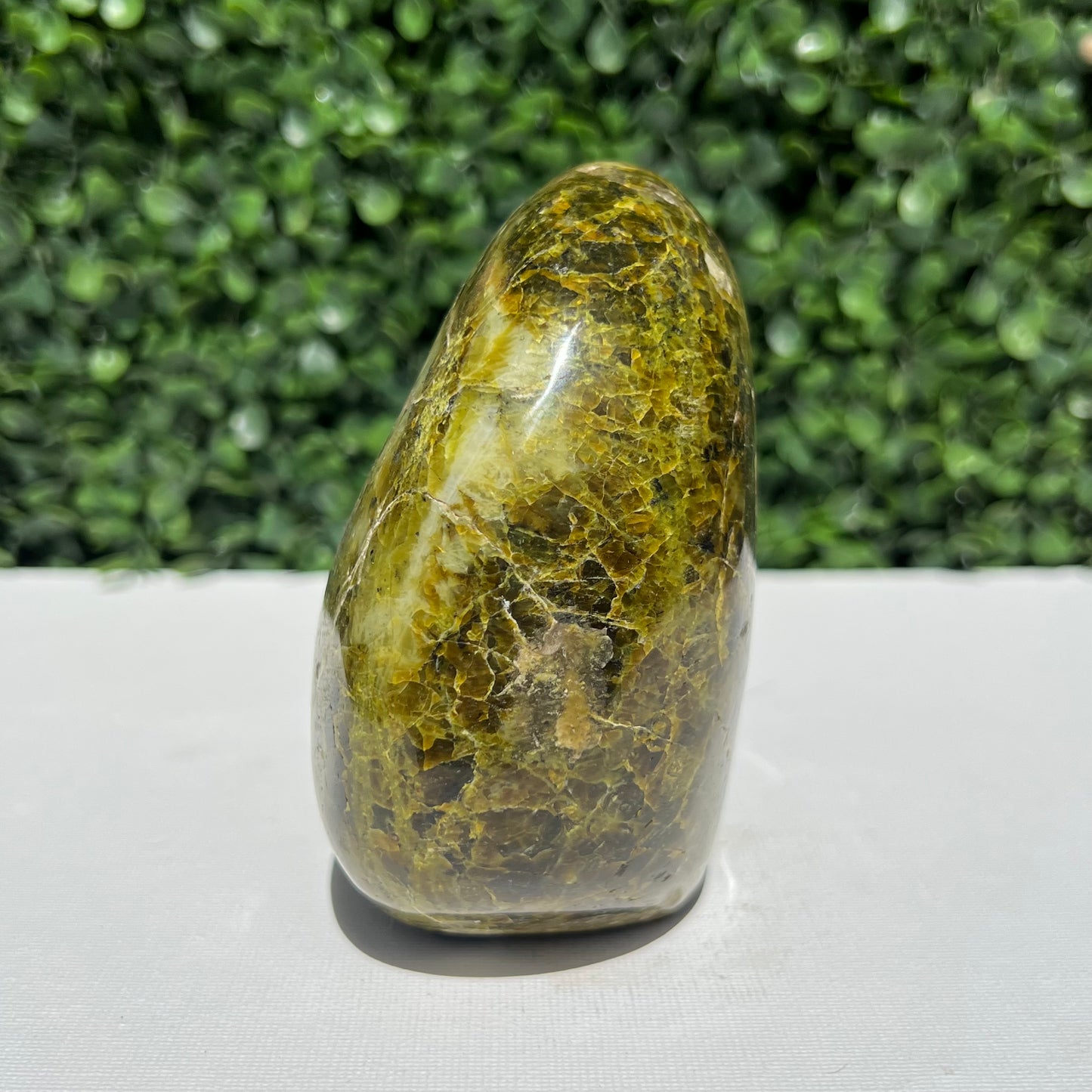 Kiwi Opal Free Form