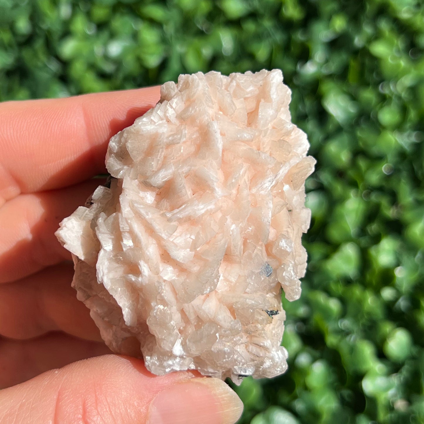 Pink Dolomite Specimen