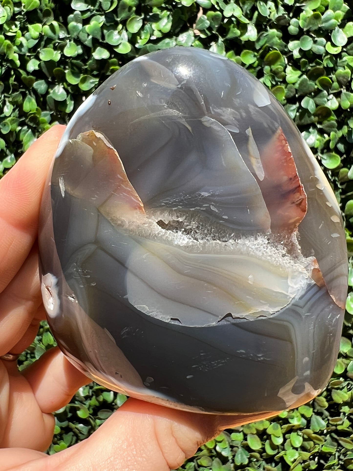 Orca Agate Free Form
