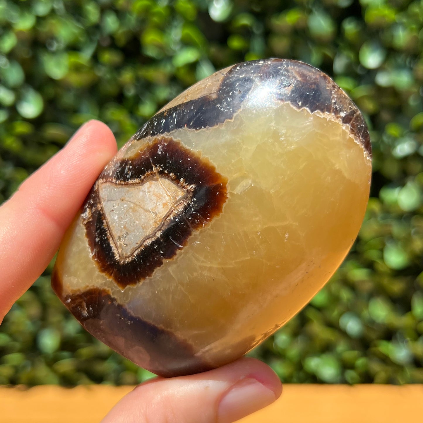 Septarian Yellow Calcite Free Form